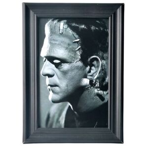 Frankenstein Vintage Cult classic Horror Monster Universal Punk Rock  Goth Emo